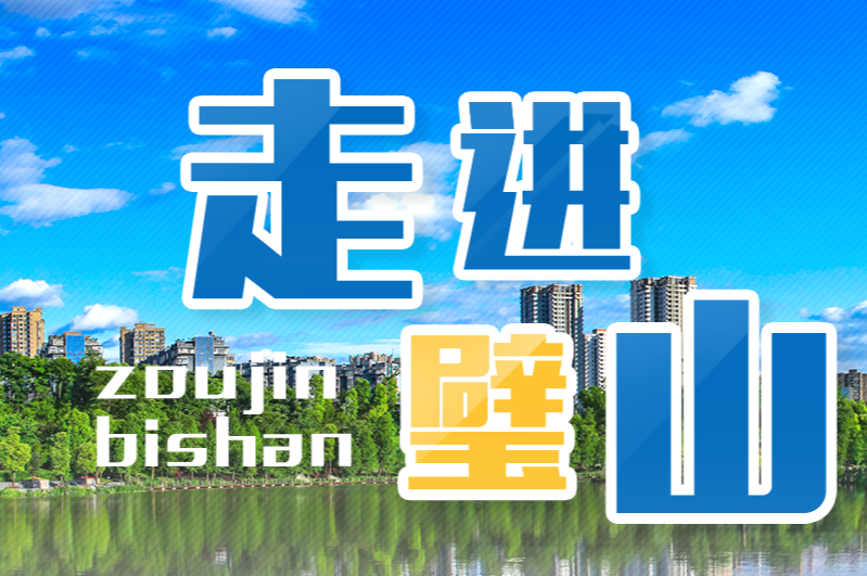 重庆市璧山区政务服务管理办公室