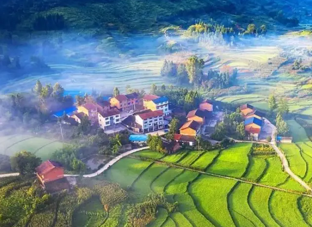 石柱土家族自治县西沱镇人民政府