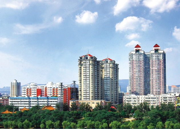 平顶山市新华区政务服务和大数据管理局