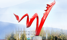 濮阳市华龙区政务服务和大数据管理局