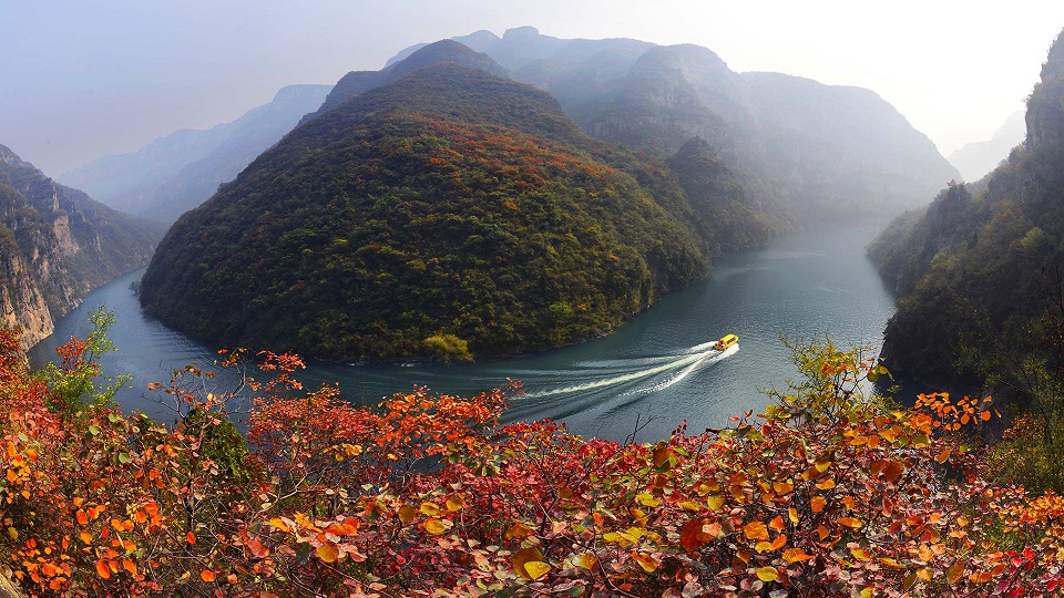 博爱县政务服务和大数据管理局