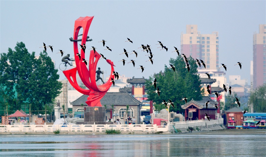 睢县政务服务和大数据管理局