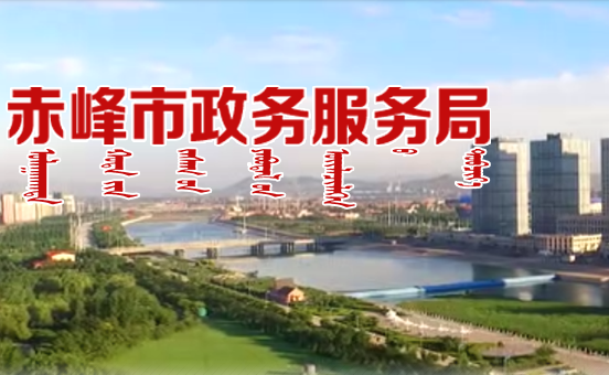 赤峰市政务服务局