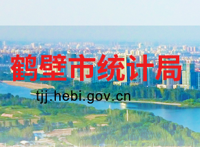鹤壁市统计局