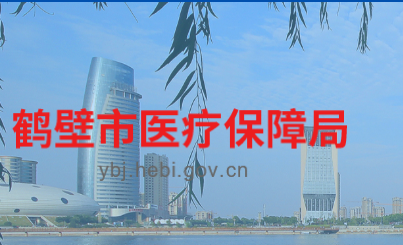 鹤壁市医疗保障局