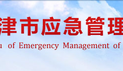 天津市应急管理局网上办事大厅