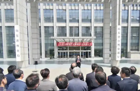 山东省自然资源厅