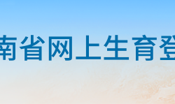 湖南省网上生育登记入口