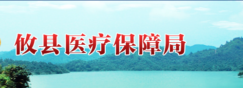 攸县医疗保障局