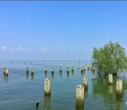 益阳市大通湖区教育和卫生健康局