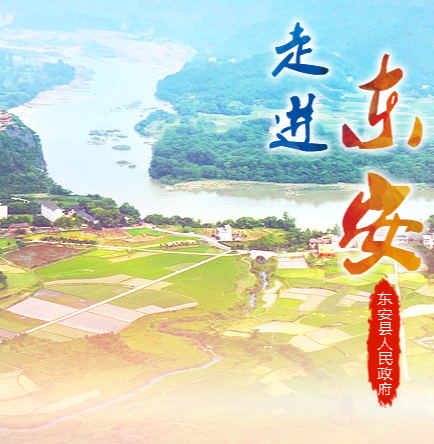 东安县行政审批服务局