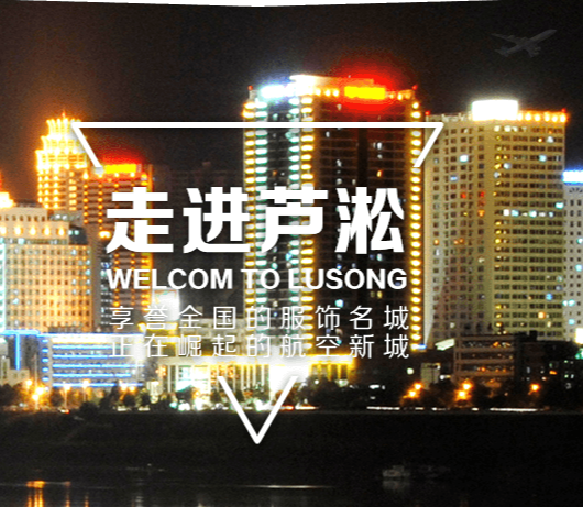 株洲市芦淞区行政审批服务局