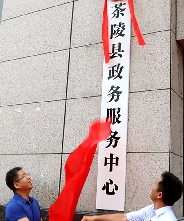 茶陵县政务服务中心