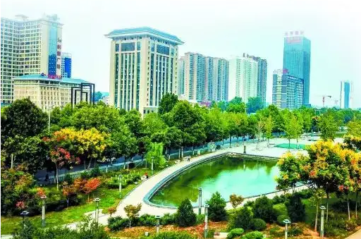 洛阳市洛龙区统计局