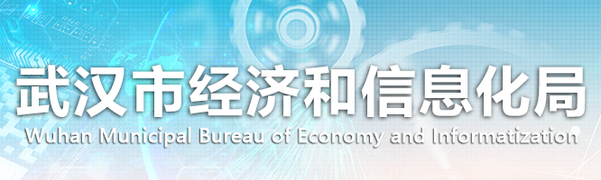 武汉市经济和信息化局
