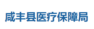 咸丰县医疗保障局