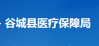 谷城县医疗保障局