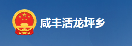 咸丰县活龙坪乡人民政府