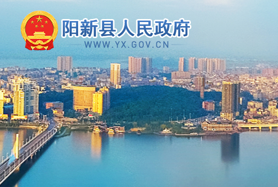 阳新县人民政府