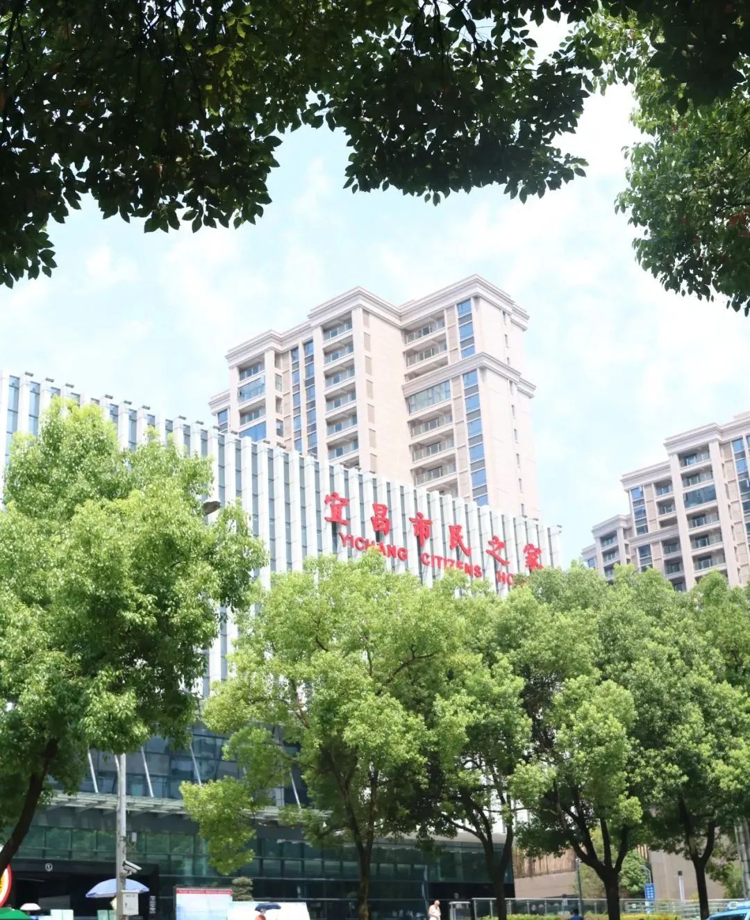 宜昌市政务服务中心