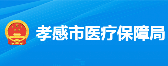孝感市医疗保障局