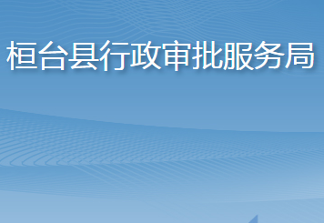 桓台县行政审批服务局