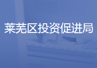 济南市莱芜区投资促进局