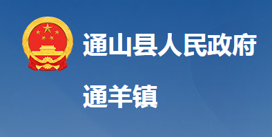 通山县通羊镇人民政府