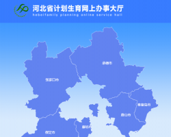河北省计划生育网上办事大厅入口