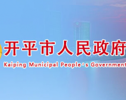 开平市人民政府政务服务网