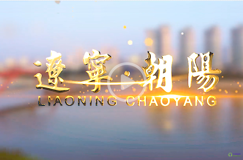 朝阳市人民政府