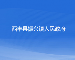 西丰县振兴镇人民政府政务服务网