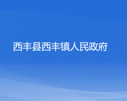 西丰县西丰镇人民政府政务服务网