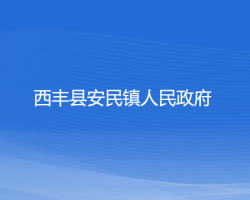 西丰县安民镇人民政府政务服务网