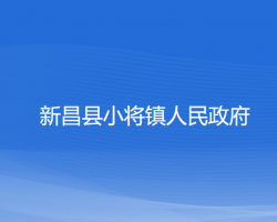 新昌县小将镇人民政府政务服务网
