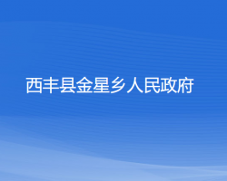 西丰县金星乡人民政府政务服务网