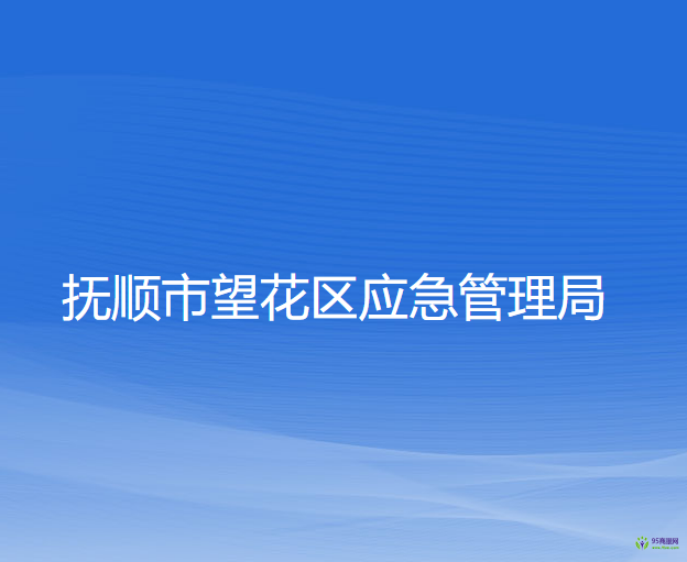 抚顺市望花区应急管理局