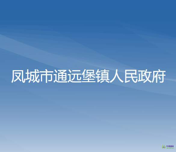 凤城市通远堡镇人民政府