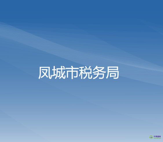 凤城市税务局