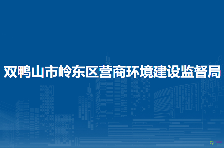 双鸭山市岭东区营商环境建设监督局