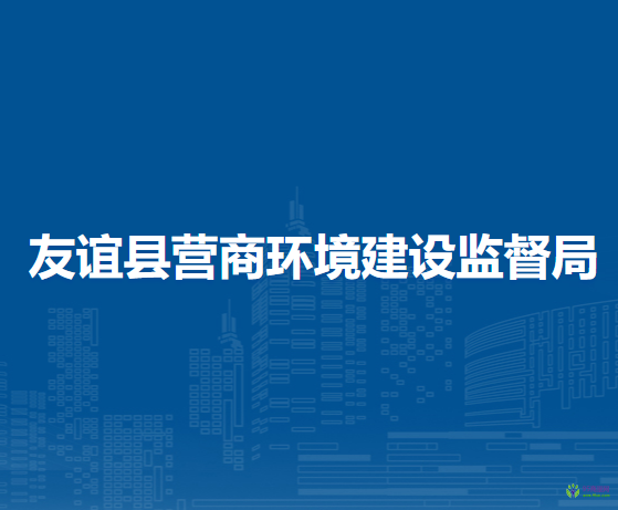 友谊县营商环境建设监督局