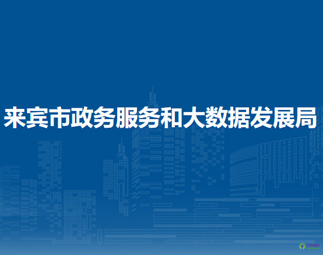 来宾市政务服务和大数据发展局