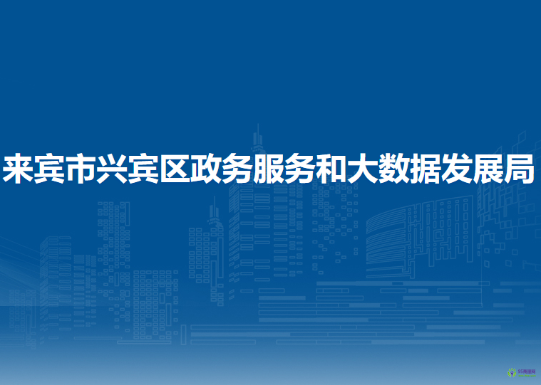 来宾市兴宾区政务服务和大数据发展局