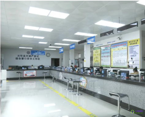 天等县政务服务中心