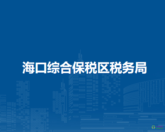 海口综合保税区税务局