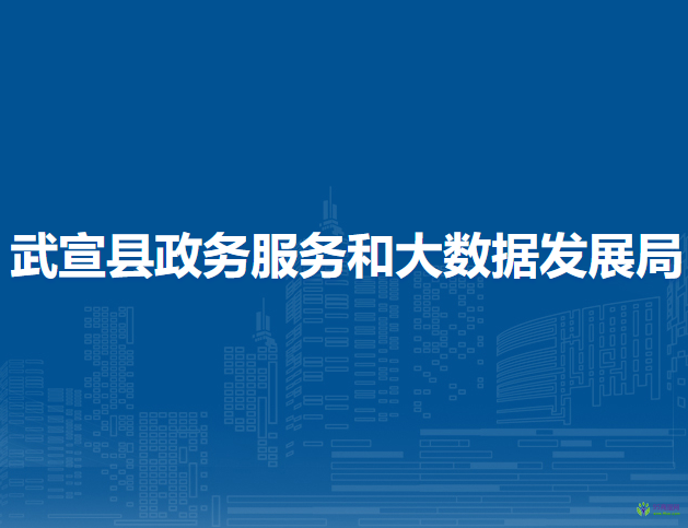 武宣县政务服务和大数据发展局