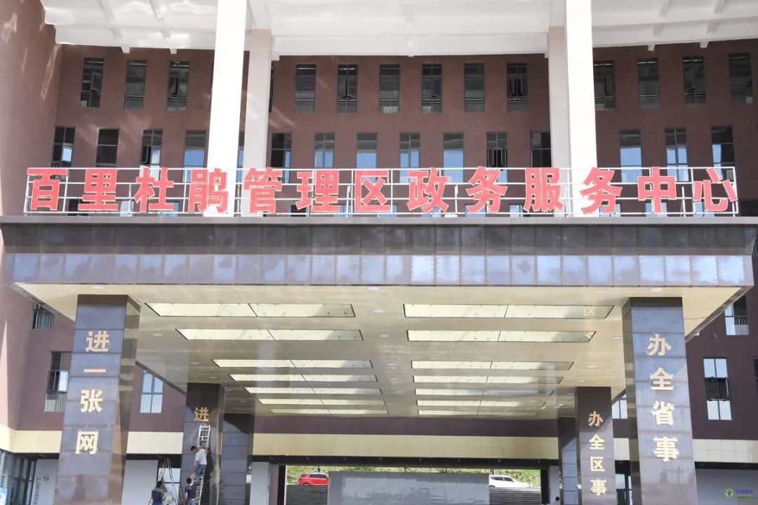 百里杜鹃管理区政务服务中心