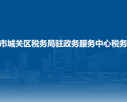 兰州市城关区税务局驻政务服务中心税务窗口