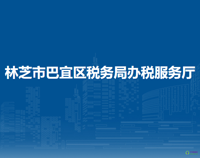 林芝市巴宜区税务局办税服务厅