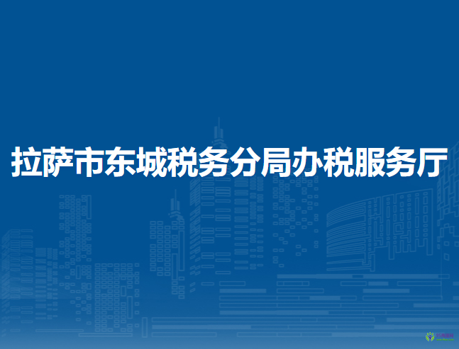 拉萨市东城税务分局办税服务厅
